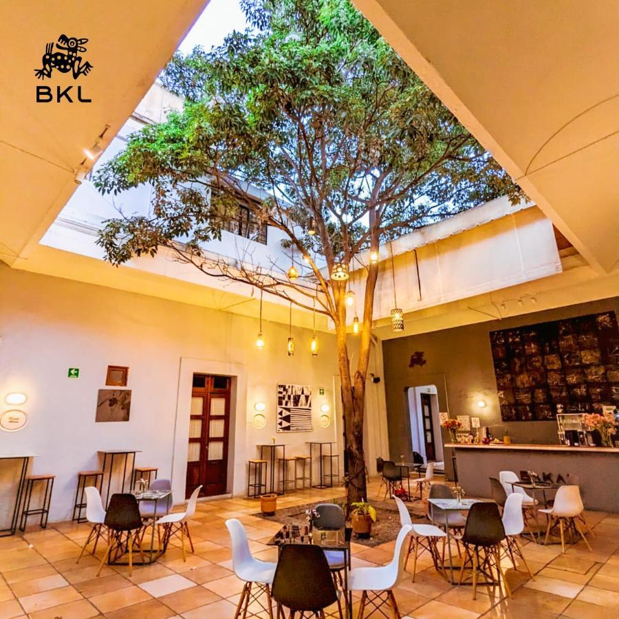 BKL Hotel Oaxaca Buitenkant foto